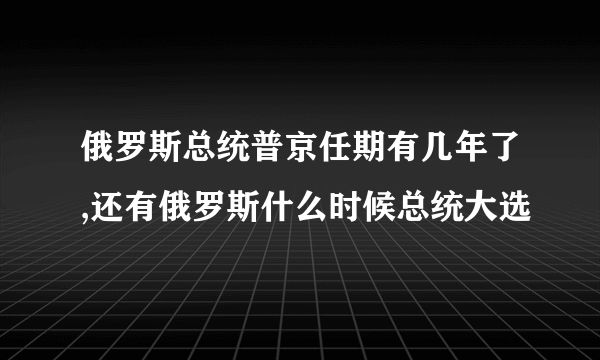 俄罗斯总统普京任期有几年了,还有俄罗斯什么时候总统大选