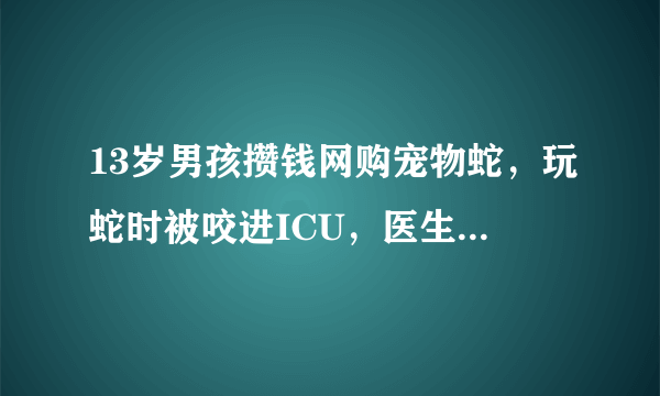 13岁男孩攒钱网购宠物蛇，玩蛇时被咬进ICU，医生：买的是竹叶青