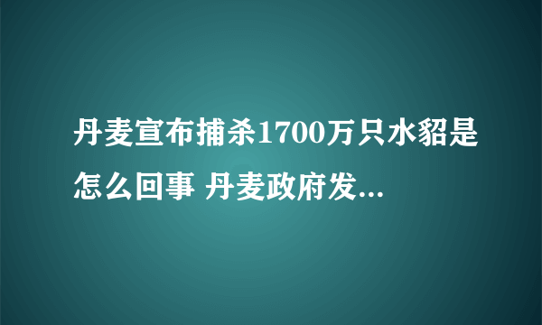 丹麦宣布捕杀1700万只水貂是怎么回事 丹麦政府发布最新回应