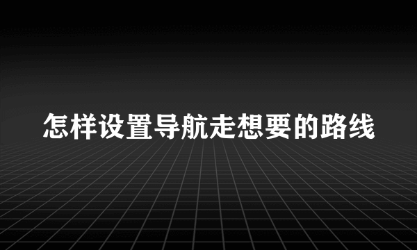 怎样设置导航走想要的路线