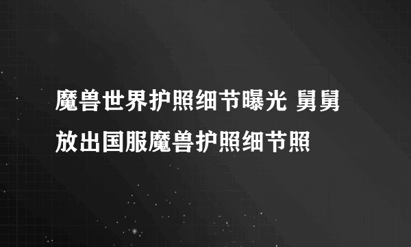 魔兽世界护照细节曝光 舅舅放出国服魔兽护照细节照