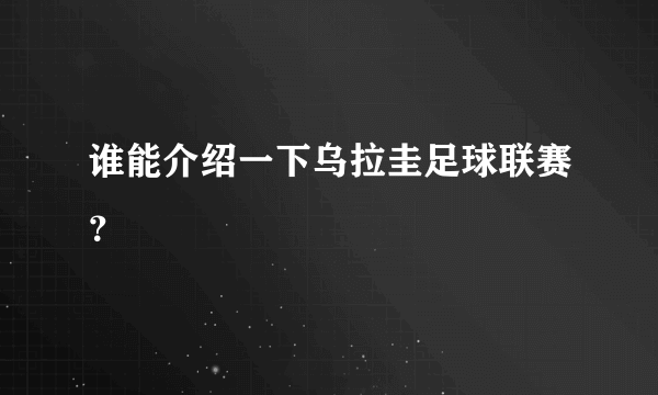 谁能介绍一下乌拉圭足球联赛？