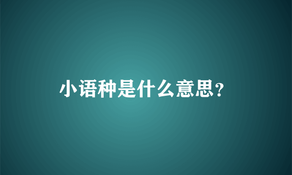 小语种是什么意思？