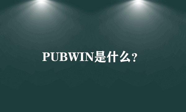 PUBWIN是什么？