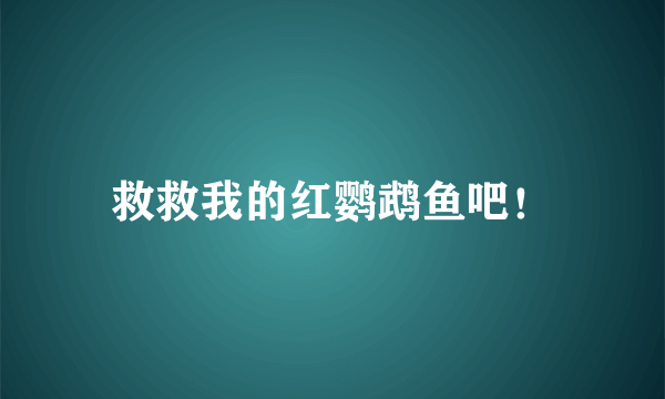 救救我的红鹦鹉鱼吧！