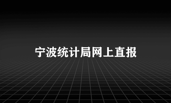 宁波统计局网上直报