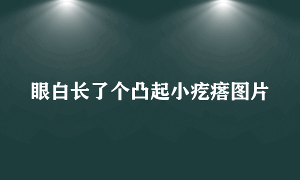 眼白长了个凸起小疙瘩图片