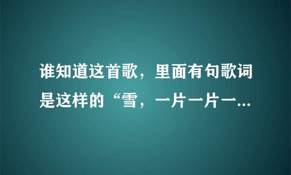 谁知道这首歌，里面有句歌词是这样的“雪，一片一片一片一片”，谢谢！