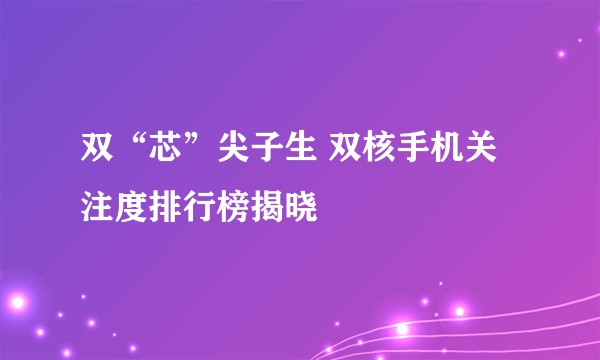 双“芯”尖子生 双核手机关注度排行榜揭晓