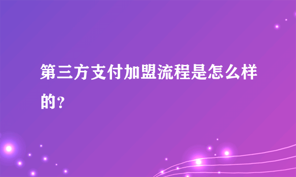 第三方支付加盟流程是怎么样的？