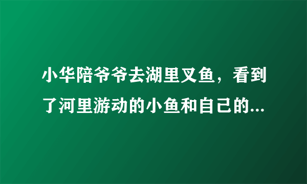 小华陪爷爷去湖里叉鱼，看到了河里游动的小鱼和自己的倒影，根据这个情景回答如下问题：（1）小华看到“鱼”的比实际位置___了（升高$/$降低)，这是光的___现象造成的.若小华将电筒光对着看到的“鱼”射入$,$___(能$/$不能）照亮鱼.（2）小华看到自己的倒影是___像（实$/$虚)，如果小华到水面的距离是$2m$则像到水面的距离___$2m($大于$/$小于$/$等于$/)$.（3）爷爷用桨向后划水，小船就向前运动，这说明＿＿＿.