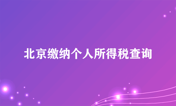 北京缴纳个人所得税查询