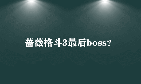 蔷薇格斗3最后boss？