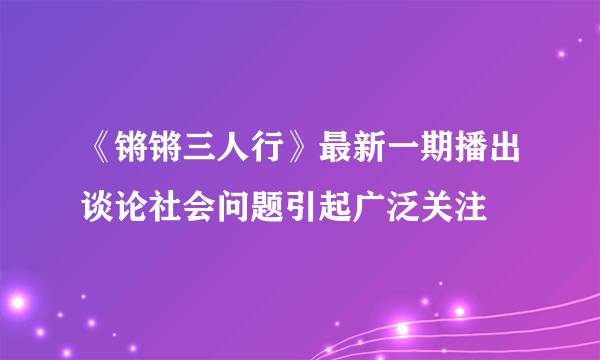 《锵锵三人行》最新一期播出谈论社会问题引起广泛关注