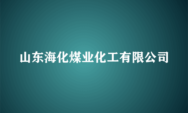 山东海化煤业化工有限公司