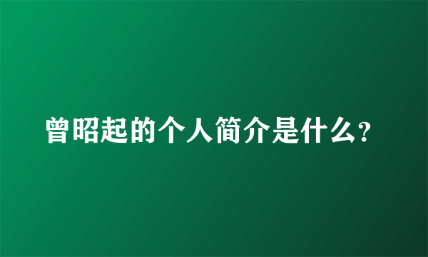 曾昭起的个人简介是什么？