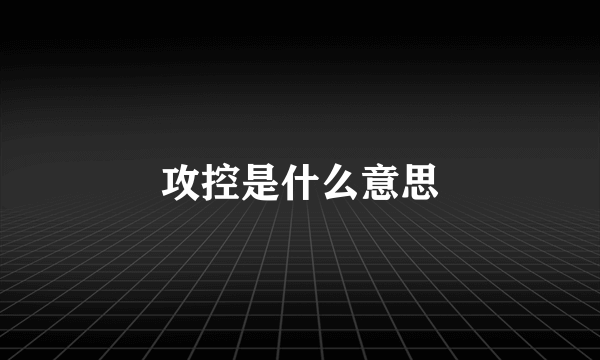 攻控是什么意思