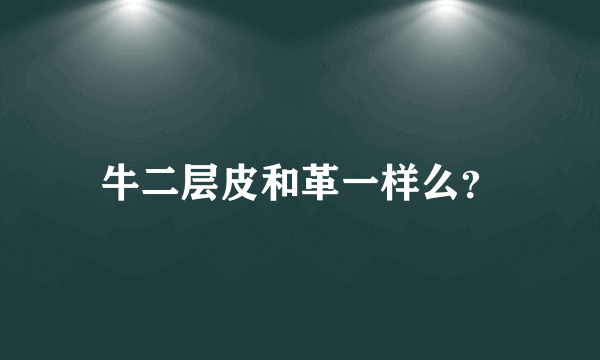 牛二层皮和革一样么？