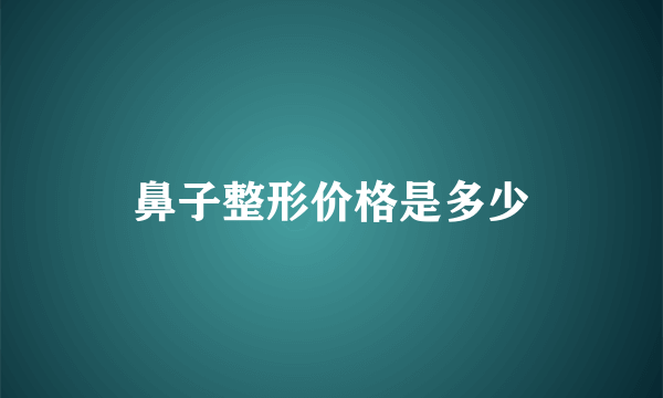 鼻子整形价格是多少