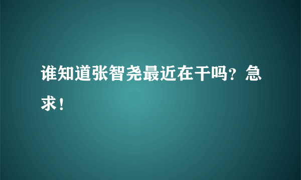 谁知道张智尧最近在干吗？急求！