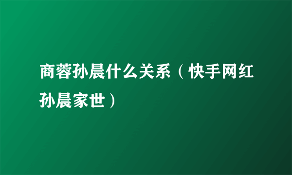 商蓉孙晨什么关系（快手网红孙晨家世）