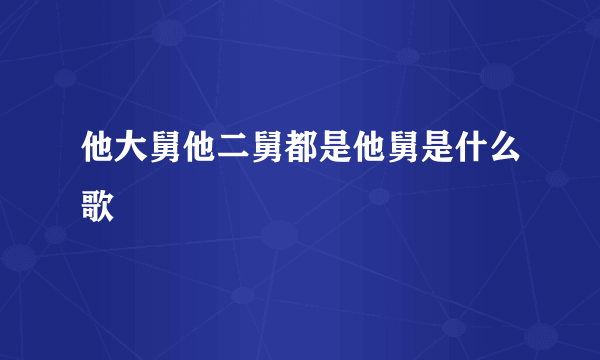 他大舅他二舅都是他舅是什么歌