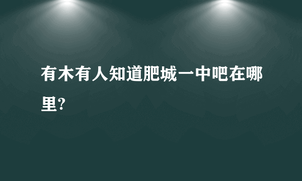 有木有人知道肥城一中吧在哪里?