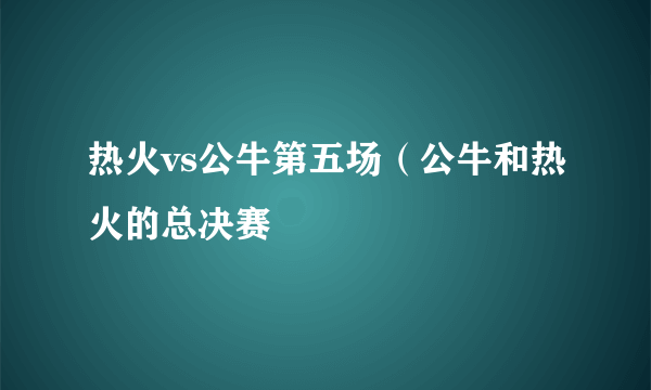 热火vs公牛第五场（公牛和热火的总决赛