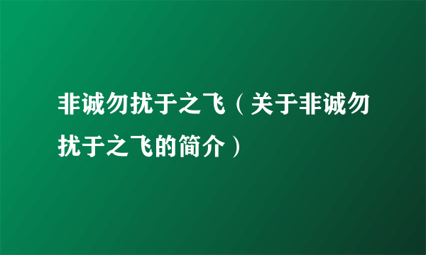 非诚勿扰于之飞（关于非诚勿扰于之飞的简介）