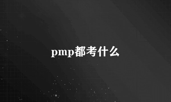 pmp都考什么