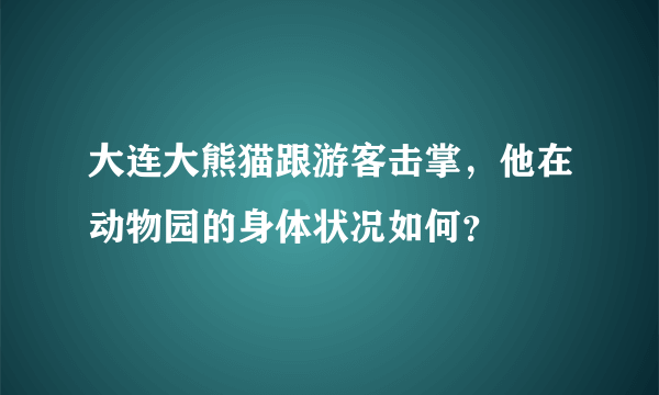 大连大熊猫跟游客击掌，他在动物园的身体状况如何？