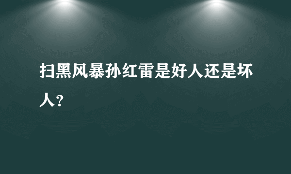 扫黑风暴孙红雷是好人还是坏人？