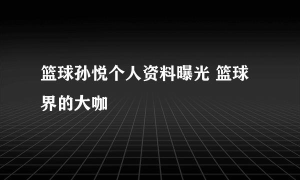 篮球孙悦个人资料曝光 篮球界的大咖