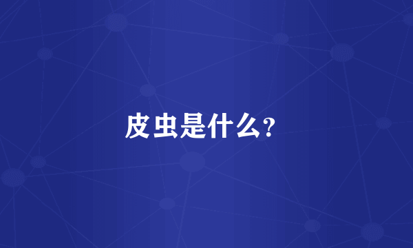 皮虫是什么？