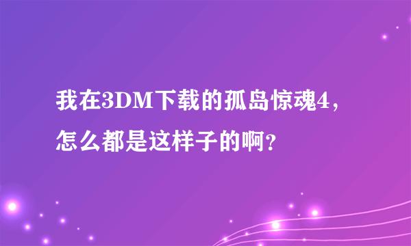 我在3DM下载的孤岛惊魂4，怎么都是这样子的啊？