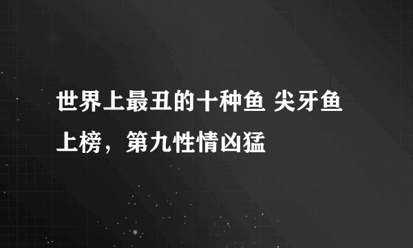 世界上最丑的十种鱼 尖牙鱼上榜，第九性情凶猛