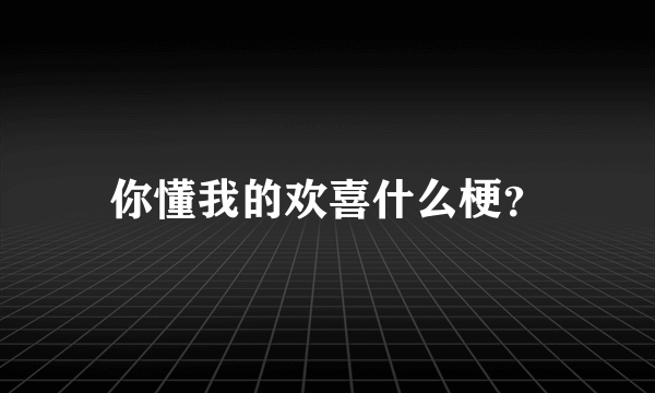 你懂我的欢喜什么梗？