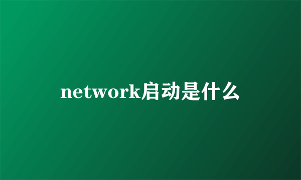 network启动是什么