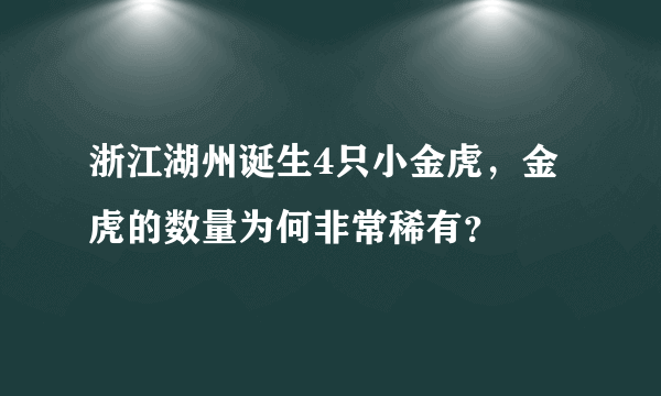 浙江湖州诞生4只小金虎，金虎的数量为何非常稀有？