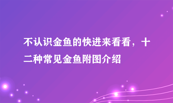 不认识金鱼的快进来看看，十二种常见金鱼附图介绍