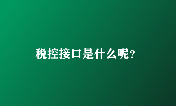 税控接口是什么呢？