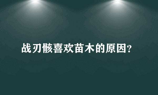 战刃骸喜欢苗木的原因？