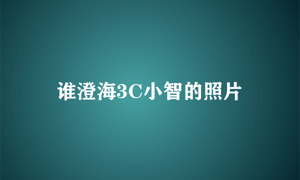 谁澄海3C小智的照片