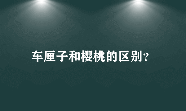 车厘子和樱桃的区别？