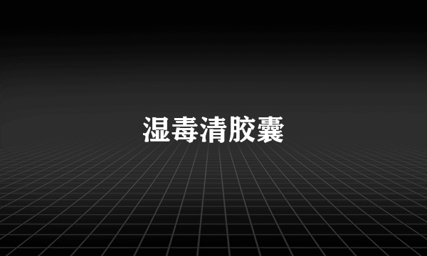 湿毒清胶囊