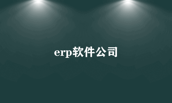 erp软件公司