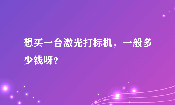 想买一台激光打标机，一般多少钱呀？