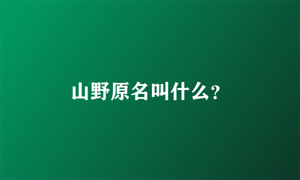 山野原名叫什么？