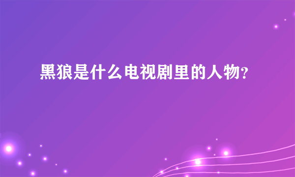 黑狼是什么电视剧里的人物？