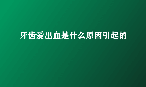 牙齿爱出血是什么原因引起的